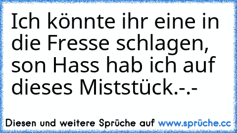 Ich könnte ihr eine in die Fresse schlagen, son Hass hab ich auf dieses Miststück.-.-