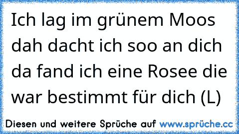 Ich lag im grünem Moos dah dacht ich soo an dich da fand ich eine Rosee die war bestimmt für dich (L)