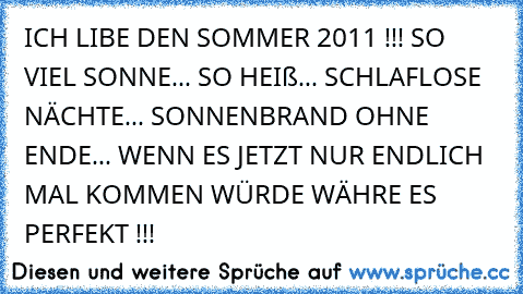 ICH LIBE DEN SOMMER 2011 !!! 
SO VIEL SONNE... SO HEIß... SCHLAFLOSE NÄCHTE... SONNENBRAND OHNE ENDE... WENN ES JETZT NUR ENDLICH MAL KOMMEN WÜRDE WÄHRE ES PERFEKT !!!