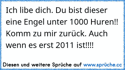 Ich libe dich. Du bist dieser eine Engel unter 1000 Huren!! Komm zu mir zurück. Auch wenn es erst 2011 ist!!!!