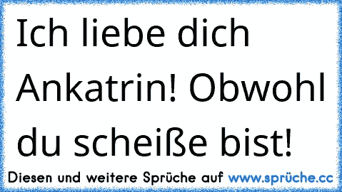 Ich liebe dich Ankatrin! ♥
Obwohl du scheiße bist!