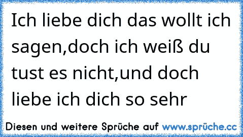 Ich liebe dich das wollt ich sagen,
doch ich weiß du tust es nicht,
und doch liebe ich dich so sehr