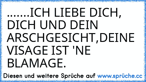 .......ICH LIEBE DICH, DICH UND DEIN ARSCHGESICHT,DEINE VISAGE IST 'NE BLAMAGE.