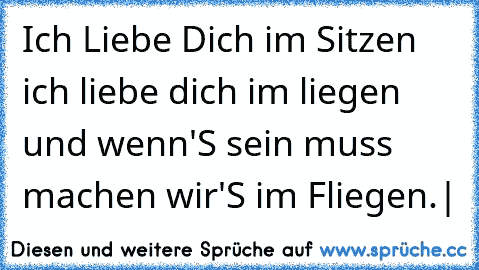 Ich Liebe Dich im Sitzen  ich liebe dich im liegen und wenn'S sein muss machen wir'S im Fliegen.|