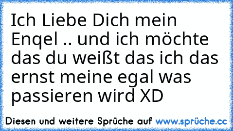 Ich Liebe Dich mein Enqel .. und ich möchte das du weißt das ich das ernst meine egal was passieren wird XD