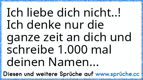 Ich liebe dich nicht..! Ich denke nur die ganze zeit an dich und schreibe 1.000 mal deinen Namen...♥