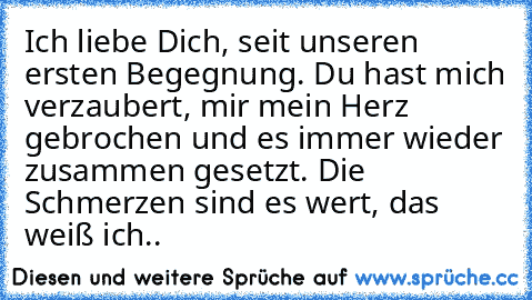 Ich liebe Dich, seit unseren ersten Begegnung. Du hast mich verzaubert, mir mein Herz gebrochen und es immer wieder zusammen gesetzt. Die Schmerzen sind es wert, das weiß ich..