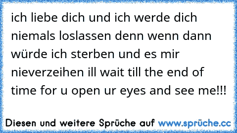 ich liebe dich und ich werde dich niemals loslassen denn wenn dann würde ich sterben und es mir nieverzeihen ill wait till the end of time for u open ur eyes and see me!!!