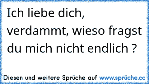 Ich liebe dich, verdammt, wieso fragst du mich nicht endlich ?