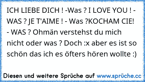 ICH LIEBE DICH ! -Was ? I LOVE YOU ! - WAS ? JE T'AIME ! - Was ?KOCHAM CIE!  - WAS ? Ohmän verstehst du mich nicht oder was ? Doch :x aber es ist so schön das ich es öfters hören wollte :) ♥