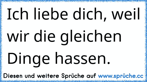 Ich liebe dich, weil wir die gleichen Dinge hassen.