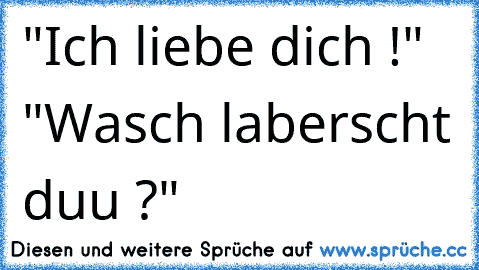 "Ich liebe dich !" ♥
"Wasch laberscht duu ?"