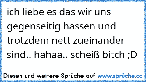 ich liebe es das wir uns gegenseitig hassen und trotzdem nett zueinander sind.. hahaa.. scheiß bitch ;D