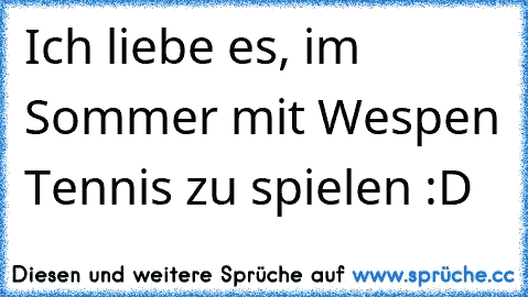 Ich liebe es, im Sommer mit Wespen Tennis zu spielen :D