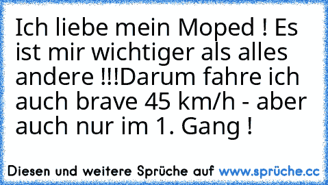 Ich liebe mein Moped ! Es ist mir wichtiger als alles andere !!!
Darum fahre ich auch brave 45 km/h - aber auch nur im 1. Gang !