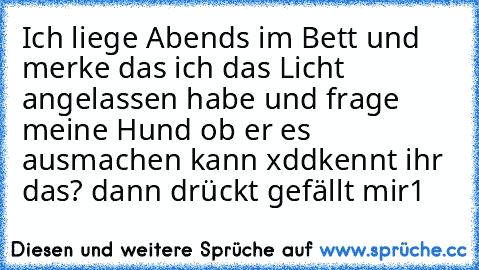 Ich liege Abends im Bett und merke das ich das Licht angelassen habe und frage meine Hund ob er es ausmachen kann xdd
kennt ihr das? dann drückt gefällt mir1