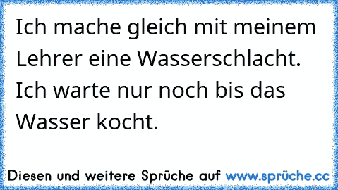 Ich mache gleich mit meinem Lehrer eine Wasserschlacht. Ich warte nur noch bis das Wasser kocht.