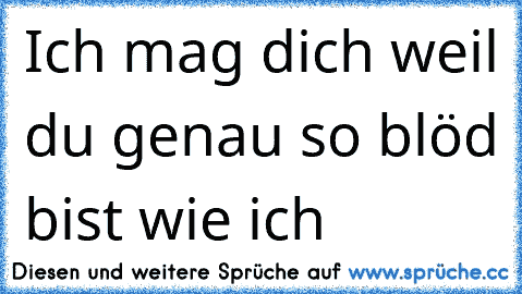 Ich mag dich weil du genau so blöd bist wie ich ♥