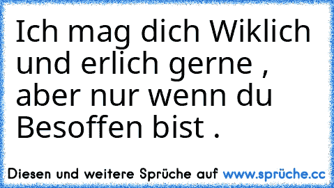 Ich mag dich Wiklich und erlich gerne , aber nur wenn du Besoffen bist .