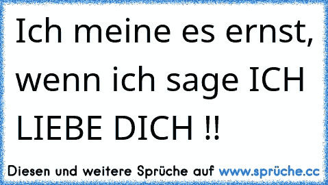 Ich meine es ernst, wenn ich sage ICH LIEBE DICH !!