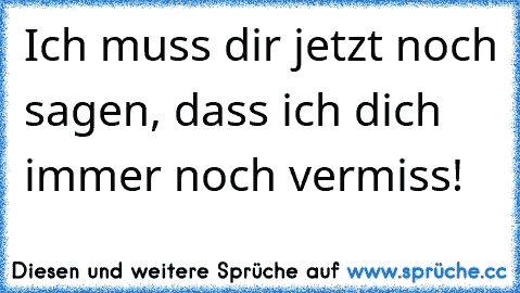 Ich muss dir jetzt noch sagen, dass ich dich immer noch vermiss!