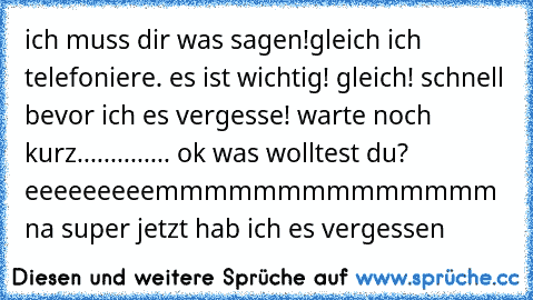 ich muss dir was sagen!gleich ich telefoniere. es ist wichtig! gleich! schnell bevor ich es vergesse! warte noch kurz.............. ok was wolltest du? eeeeeeeeemmmmmmmmmmmmmm na super jetzt hab ich es vergessen