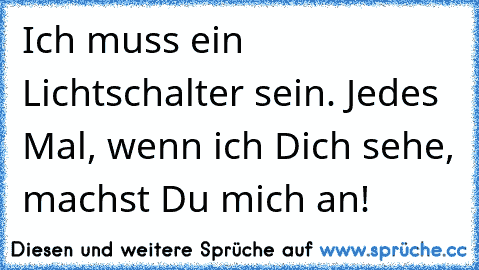 Ich muss ein Lichtschalter sein. Jedes Mal, wenn ich Dich sehe, machst Du mich an!