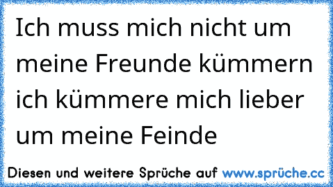 Ich muss mich nicht um meine Freunde kümmern ich kümmere mich lieber um meine Feinde