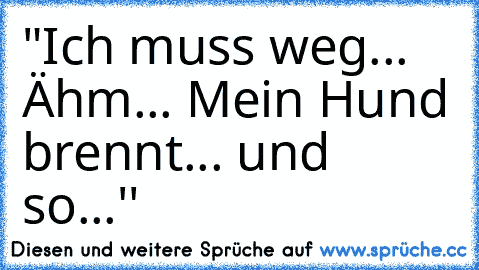 "Ich muss weg... Ähm... Mein Hund brennt... und so...''