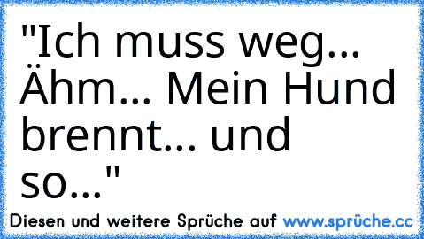 "Ich muss weg... Ähm... Mein Hund brennt... und so..."