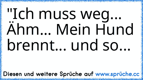 "Ich muss weg... Ähm... Mein Hund brennt... und so...