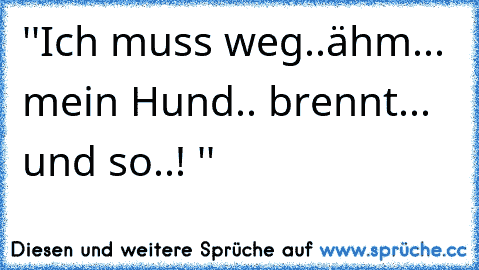 ''Ich muss weg..ähm... mein Hund.. brennt... und so..! ''