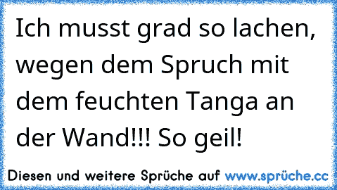 Ich musst grad so lachen, wegen dem Spruch mit dem feuchten Tanga an der Wand!!! So geil!