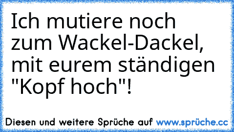 Ich mutiere noch zum Wackel-Dackel, mit eurem ständigen "Kopf hoch"!