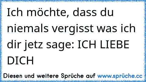 Ich möchte, dass du niemals vergisst was ich dir jetz sage: ICH LIEBE DICH ♥