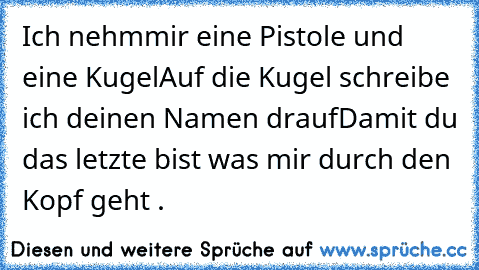 Ich nehm´mir eine Pistole und eine Kugel
Auf die Kugel schreibe ich deinen Namen drauf
Damit du das letzte bist was mir durch den Kopf geht .