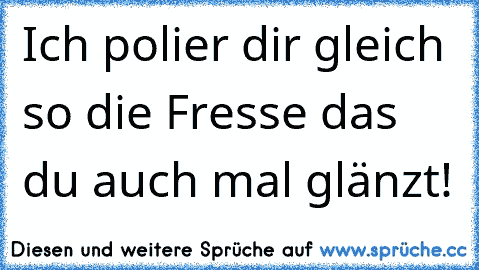 Ich polier dir gleich so die Fresse das du auch mal glänzt!