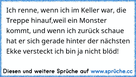 Ich renne, wenn ich im Keller war, die Treppe hinauf,weil ein Monster kommt, und wenn ich zurück schaue hat er sich gerade hinter der nächsten Ekke versteckt ich bin ja nicht blöd!