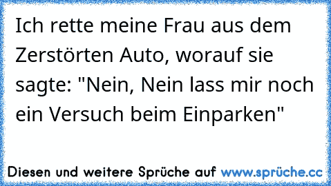 Ich rette meine Frau aus dem Zerstörten Auto, worauf sie sagte: "Nein, Nein lass mir noch ein Versuch beim Einparken"