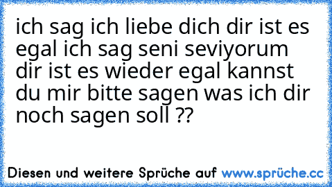 ich sag ich liebe dich dir ist es egal ich sag seni seviyorum dir ist es wieder egal 
kannst du mir bitte sagen was ich dir noch sagen soll ??