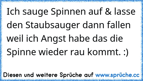 Ich sauge Spinnen auf & lasse den Staubsauger dann fallen weil ich Angst habe das die Spinne wieder rau kommt. :)