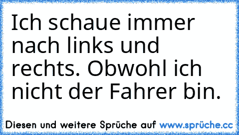 Ich schaue immer nach links und rechts. Obwohl ich nicht der Fahrer bin.