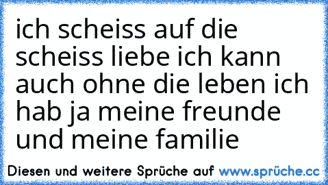 ich scheiss auf die scheiss liebe ich kann auch ohne die leben ich hab ja meine freunde und meine familie