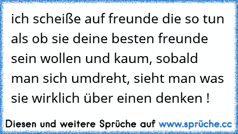 ich scheiße auf freunde die so tun als ob sie deine besten freunde sein wollen und kaum, sobald man sich umdreht, sieht man was sie wirklich über einen denken !