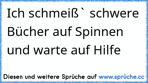 Ich schmeiß` schwere Bücher auf Spinnen und warte auf Hilfe