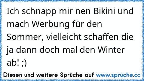 Ich schnapp mir nen Bikini und mach Werbung für den Sommer, vielleicht schaffen die ja dann doch mal den Winter ab! ;)