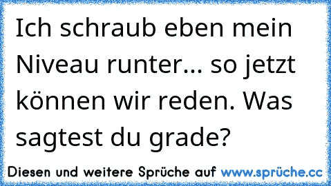 Ich schraub eben mein Niveau runter... so jetzt können wir reden. Was sagtest du grade?