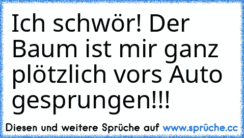 Ich schwör! Der Baum ist mir ganz plötzlich vors Auto gesprungen!!!