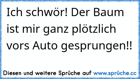 Ich schwör! Der Baum ist mir ganz plötzlich vors Auto gesprungen!!