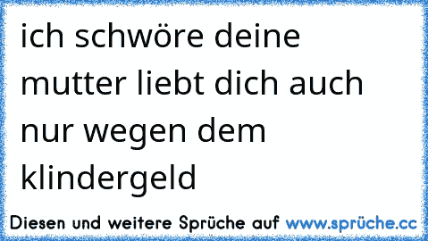 ich schwöre deine mutter liebt dich auch nur wegen dem klindergeld